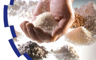 LIGNOCEL® Agente estructural y material de relleno